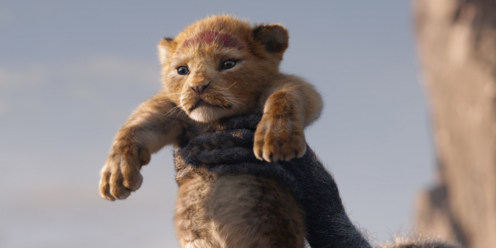 lion-king-first-image-tw.jpg