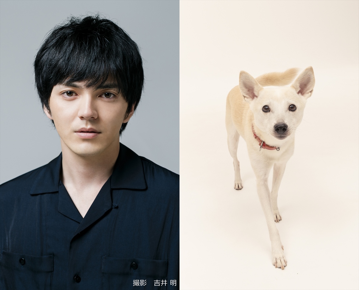 林遣都 中川大志出演 映画 犬部 21年公開決定 みんなで犬部 キャンペーン スタート Fan S Voice ファンズボイス