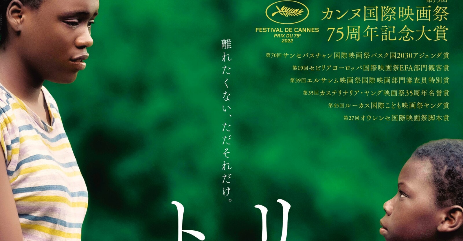 ダルデンヌ兄弟 監督作 DVD９点セット ダルデンヌ兄弟 監督作 DVD9点セット