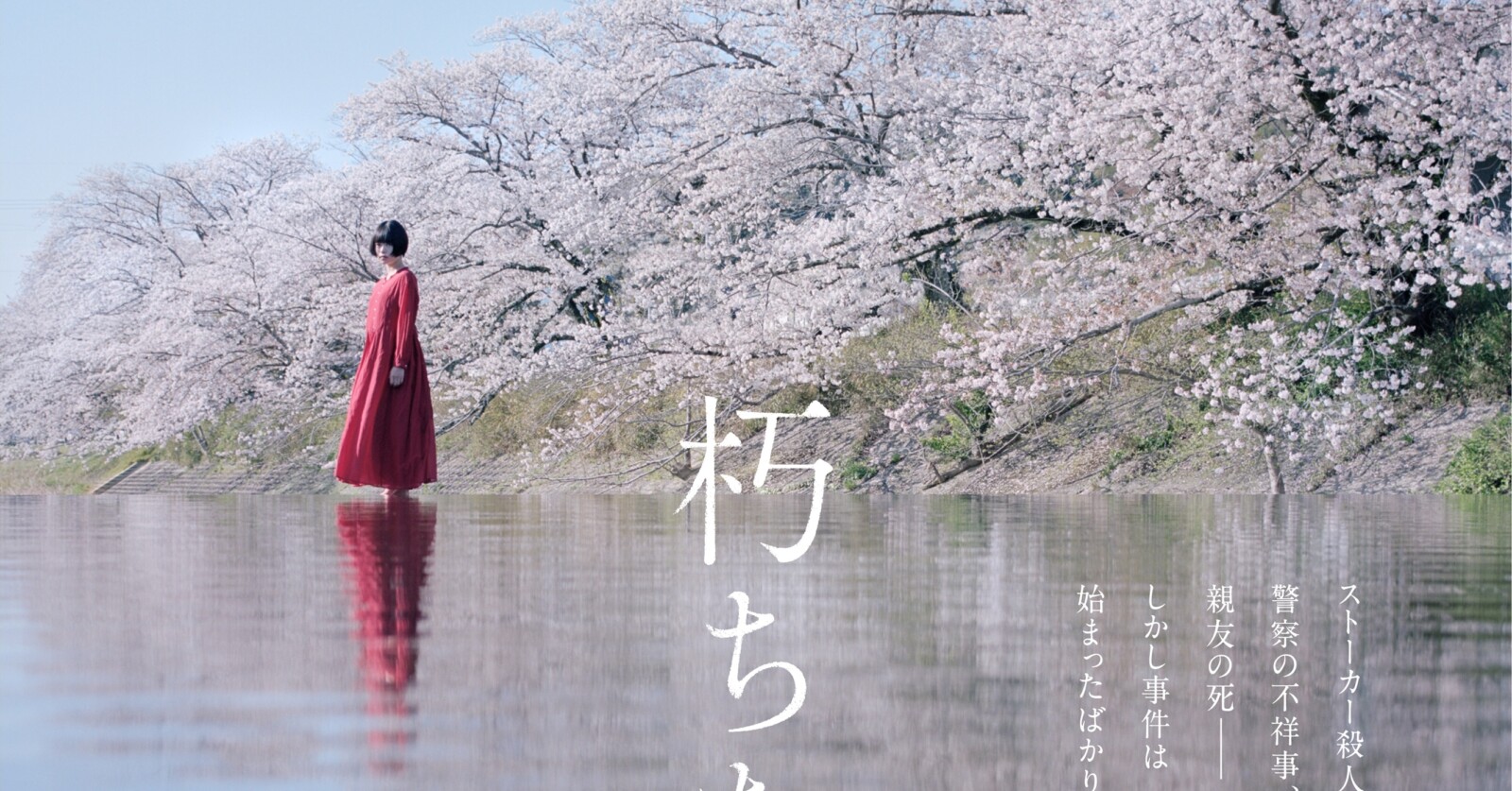 杉咲花主演『朽ちないサクラ』6月21日公開決定！ティザービジュアルが 