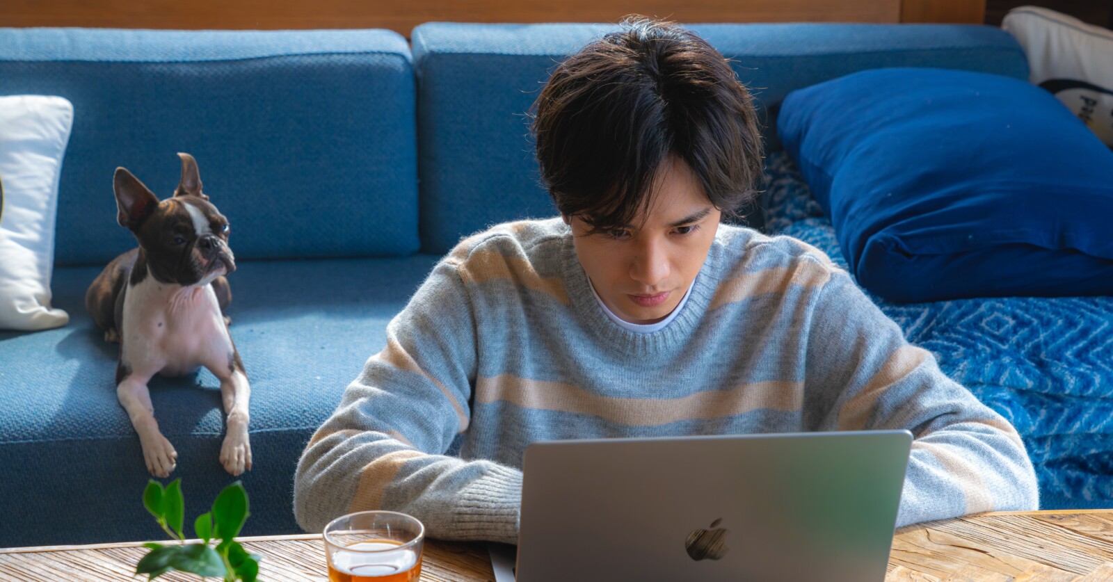 7e8a2c99628e81a8a0de579fa07d4c