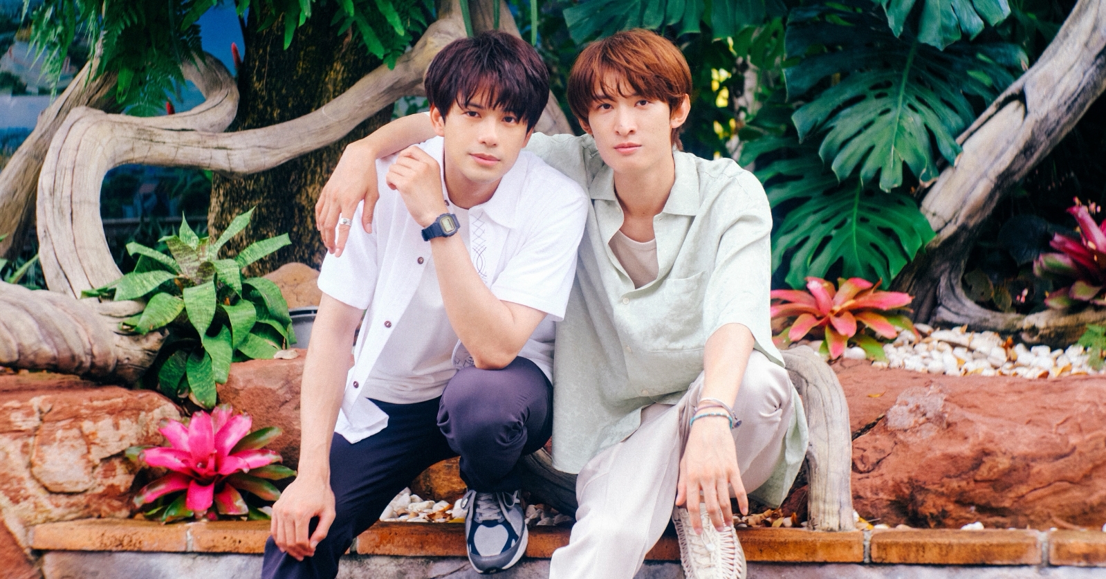 森崎ウィン × 向井康二『（LOVE SONG）』2025年秋公開決定